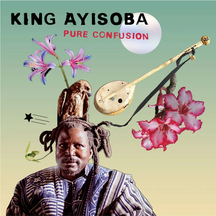 Обложка King Ayisoba — Pure Confusion