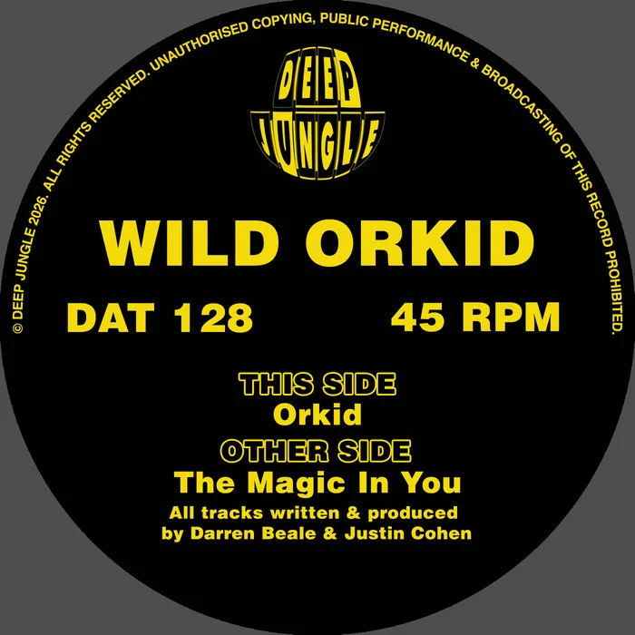Обложка Wild Orkid — The Magic In You / Orkid